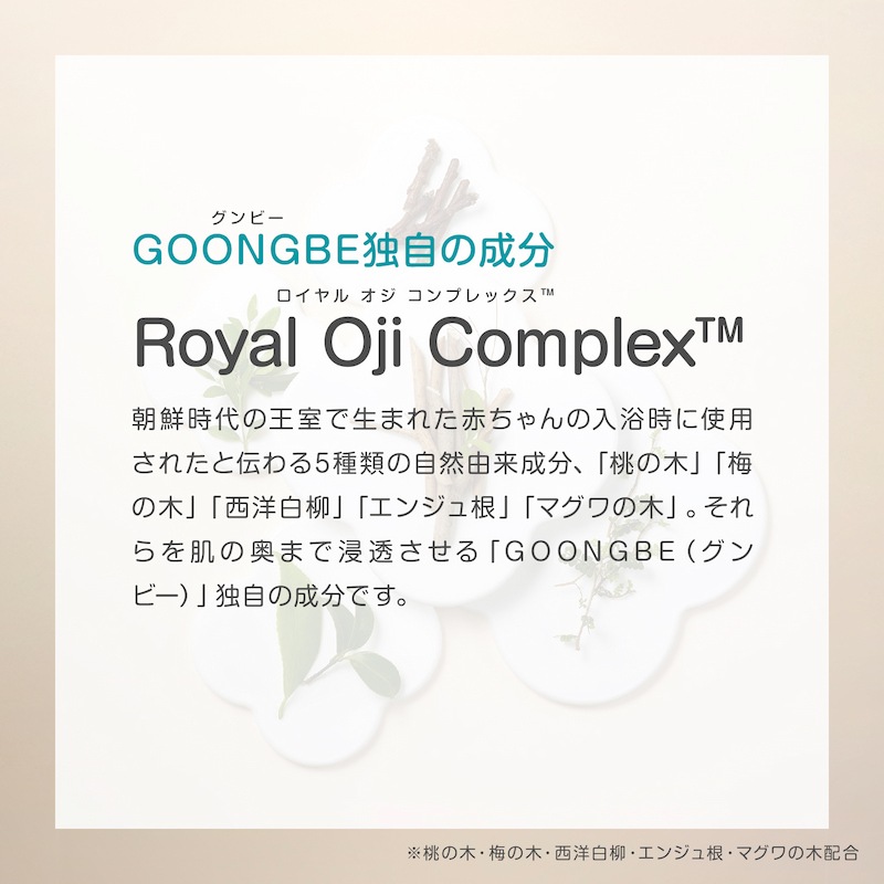 ŹGOONGBE ץߥ塼 ⥤㡼 350ml