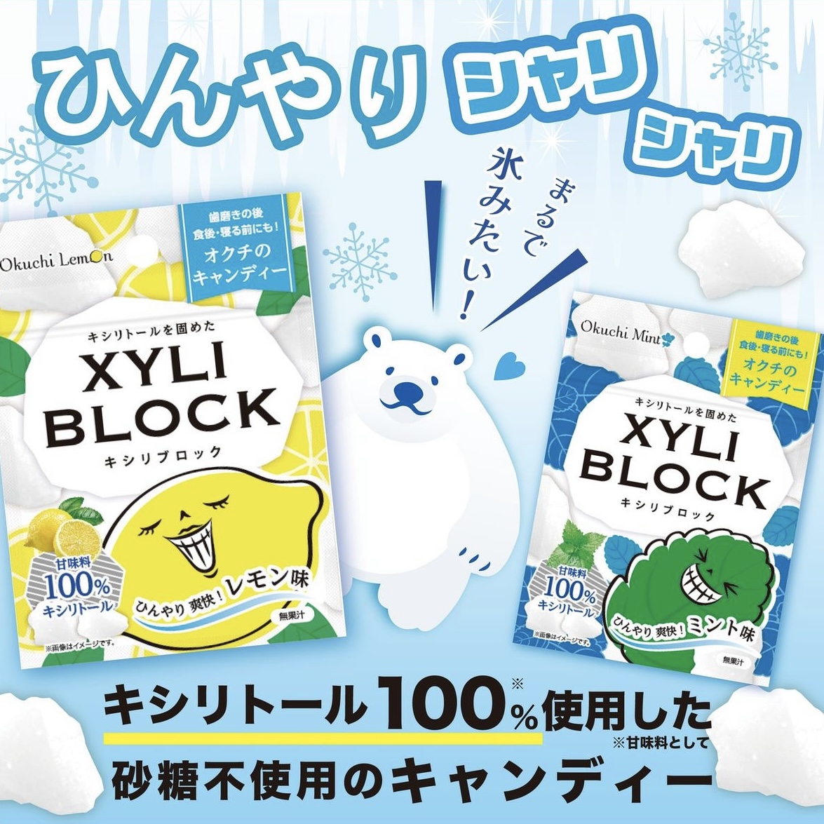 ������֥��å� XYLI BLOCK�ڥ���̣�� 10�ĥ��å�