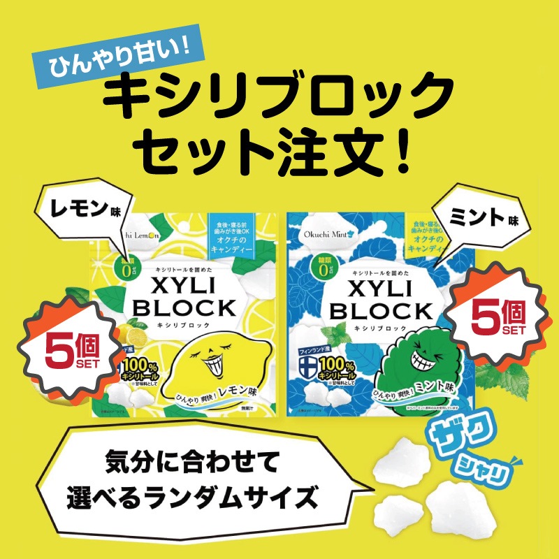 ������֥��å� XYLI BLOCK 10�ĥ��åȡڥ���̣5�ġ� �ڥߥ��̣5�ġ�