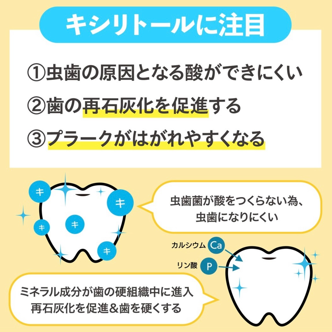 ������֥��å� XYLI BLOCK 30�ĥ��å� �ڥ���̣15�ġۡڥߥ��̣15�ġ�