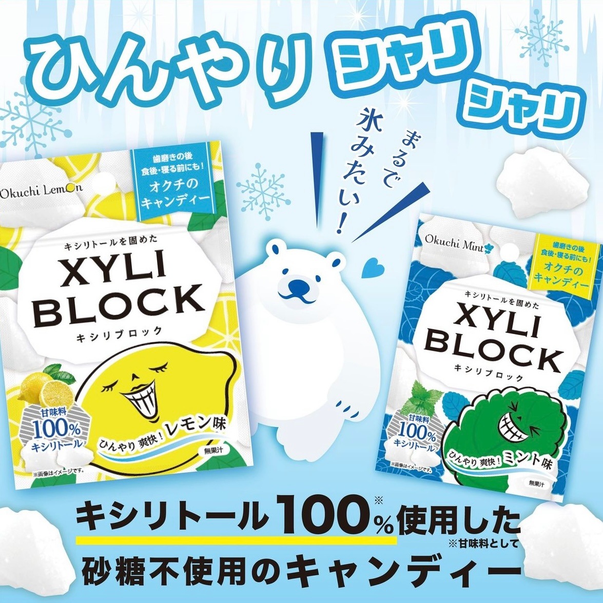 ֥å XYLI BLOCK 20ĥåȡڥ̣0ġۡڥߥ̣0ġ