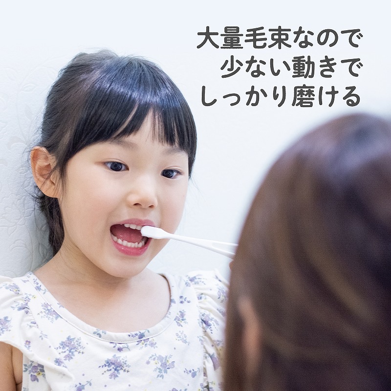 EDISON Mama ڻž夲֥饷 ץߥ դ