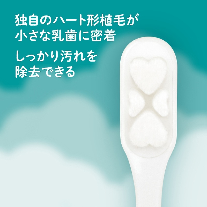 EDISON Mama ڻž夲֥饷 ץߥ դ