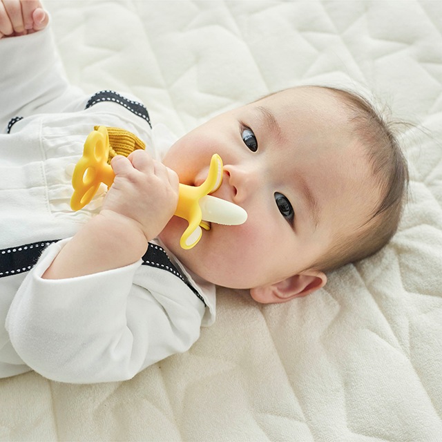 NewEDISONmamaߥ Baby ۤΥХʥ ꥢ Ϥ 