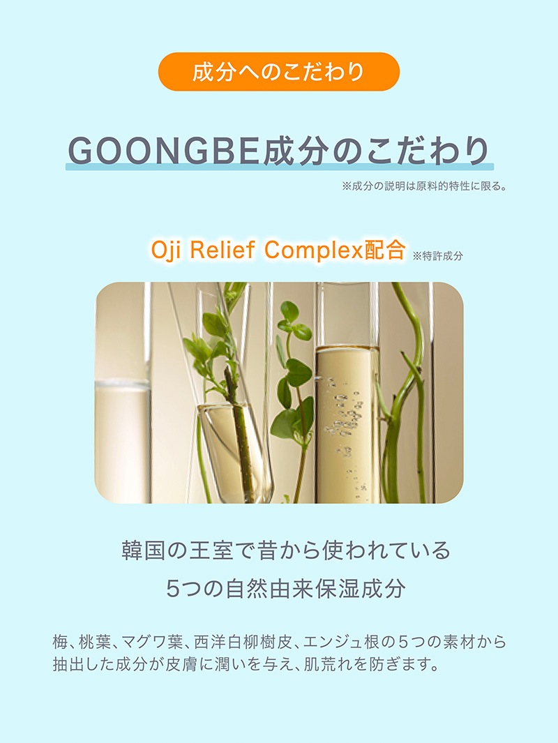 GOONGBE եå奵󥹥ƥåƤߤ᥹ƥå