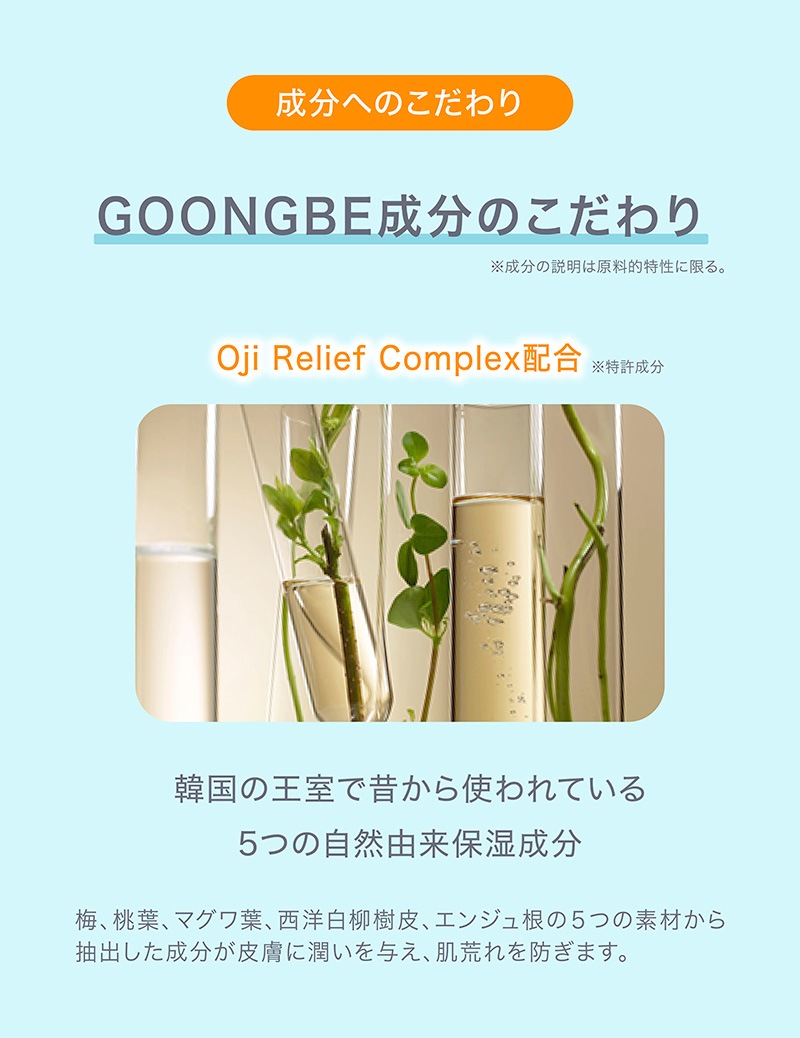 GOONGBE ⥤㡼󥯥åƤߤ᥯å