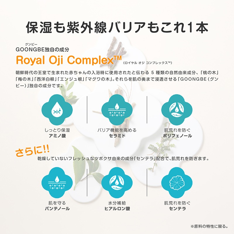 ŹGOONGBE å  [6] [󥸥󥰥ƥåդ] 