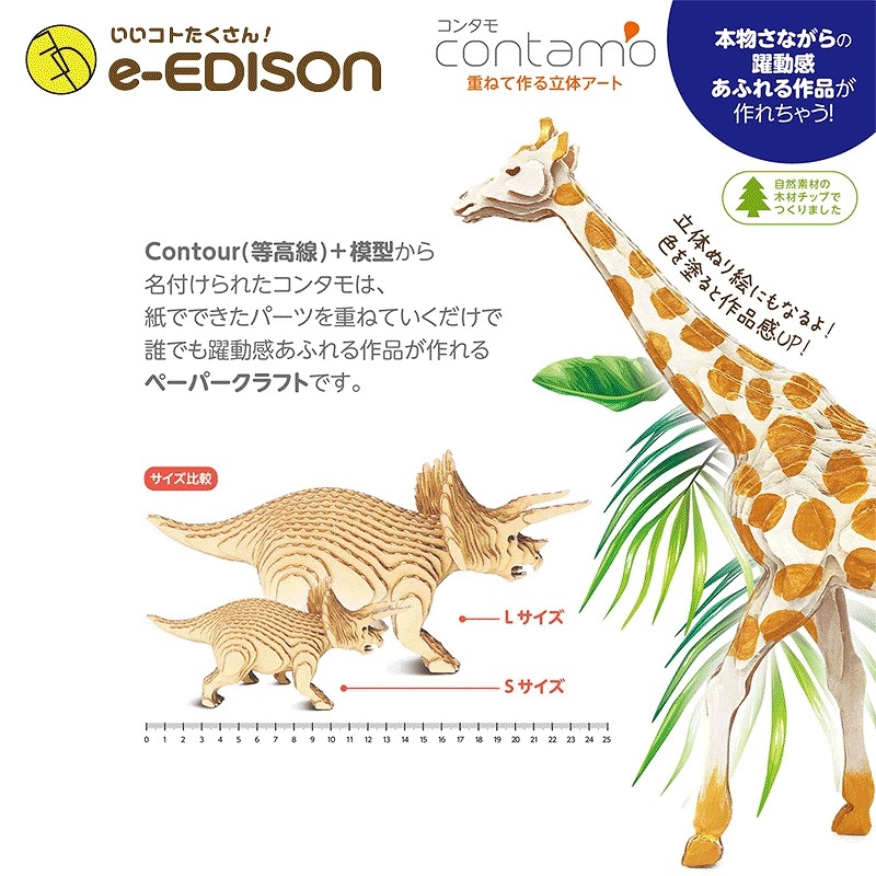 ŤͤƺΩΥ 󥿥(Contamo) ڡѡե  󥿥 ʥ ֥ƥΥ륹  L 