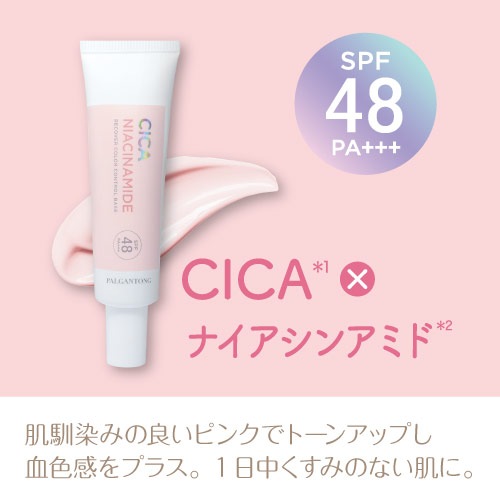 �ѥ륬��ȥ� ����RC���顼����ȥ�����١���