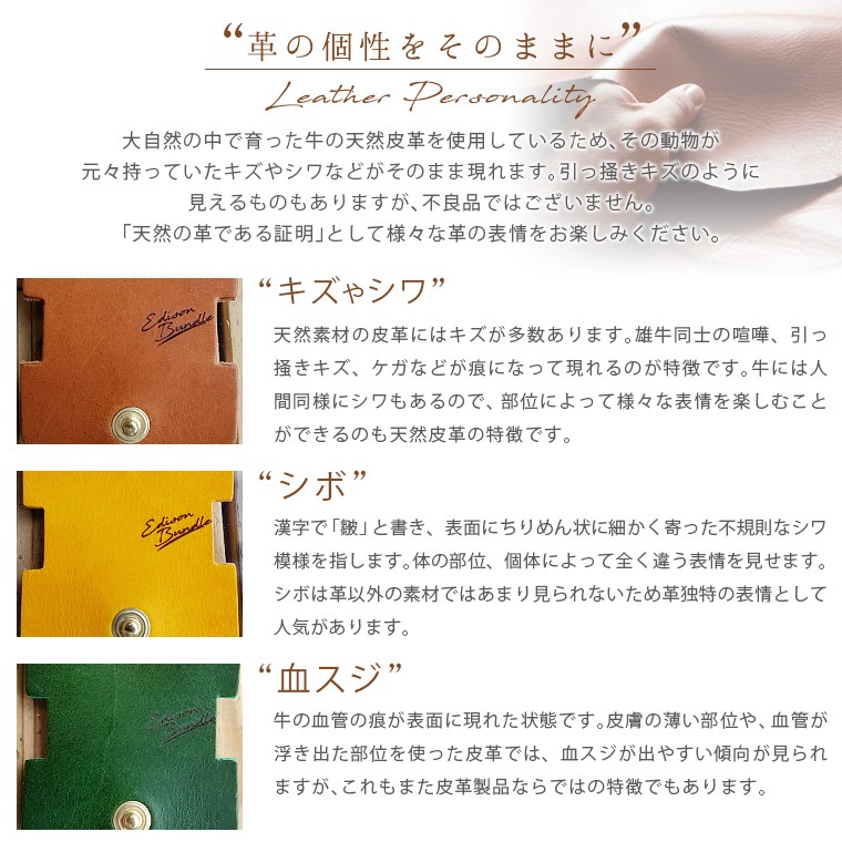 エジソンバンドル