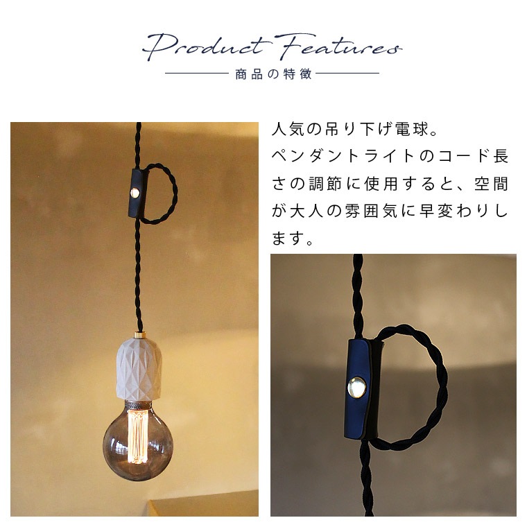 エジソンバンドル