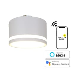 エジソンスマート,スマートシーリングライト,ミニシーリングライト