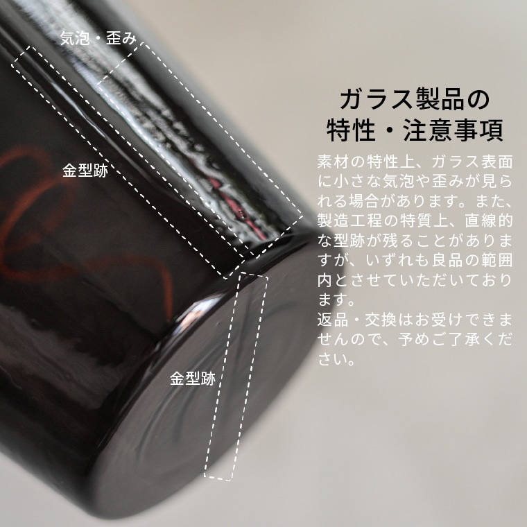 エジソンバルブLED E26 ポム ノワール(調光器対応)_DD-E26PO190NR