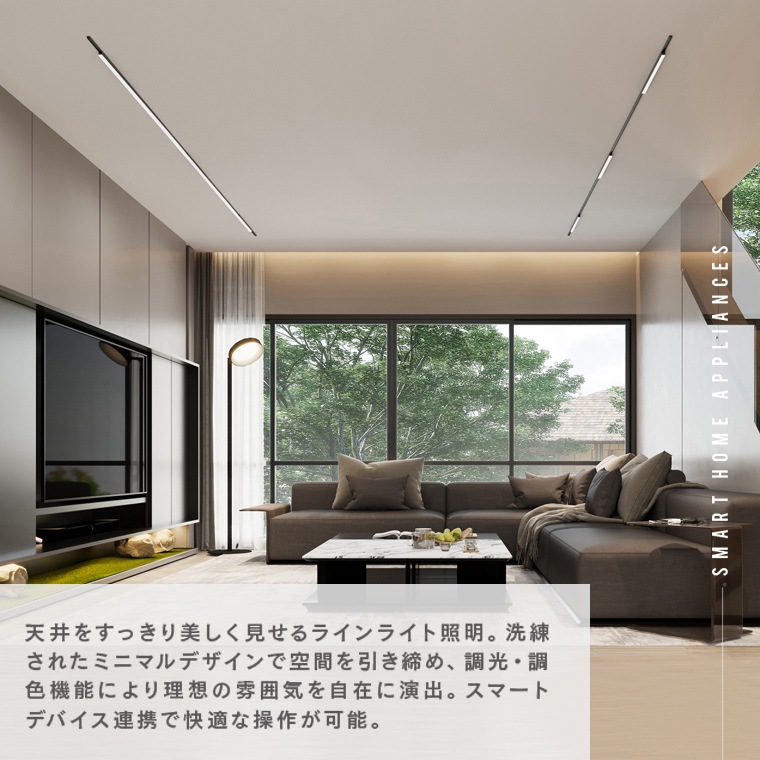 エジソンスマート ラインライト 300mm for ダクトレール ブラック RST-TL172-300 (Wi-Fi照明)