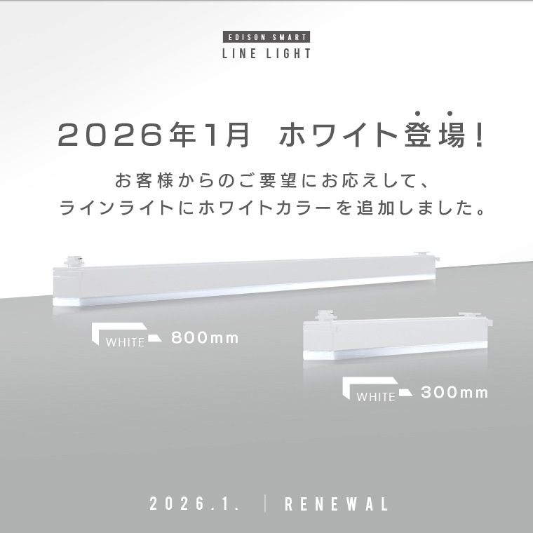 エジソンスマート ラインライト 800mm for ダクトレール ブラック RST