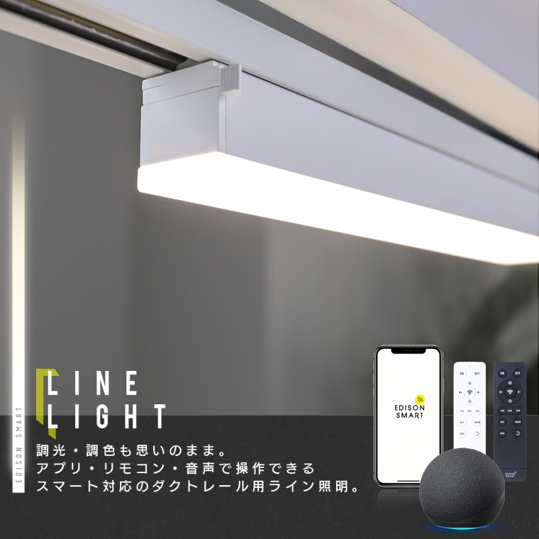エジソンスマート ラインライト 800mm for ダクトレール ブラック RST