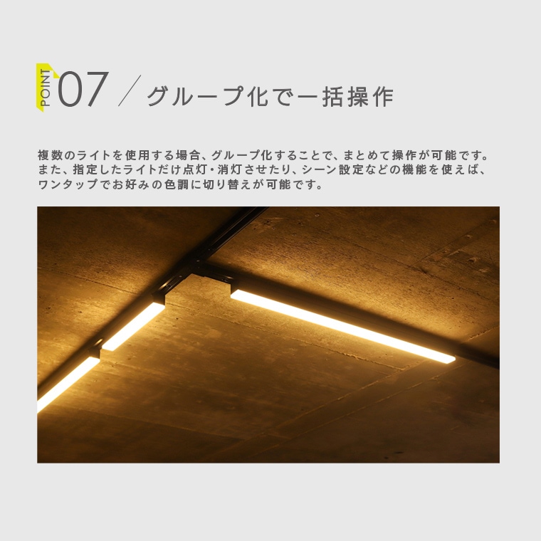 ペンさん専用　レールランプ ペンダント「SUMICA マーンス SAP-019-1L」ナラ材 ランプ別売【ダクト