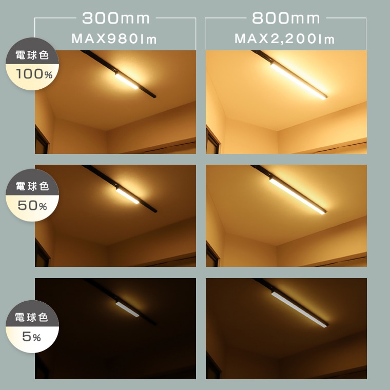 エジソンスマート ラインライト 800mm for ダクトレール ブラック RST