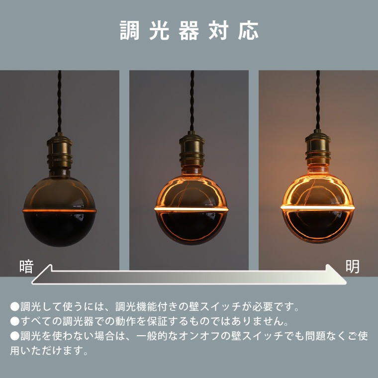 エジソンバルブLED E26 プラネタGLOBE(調光器対応)_DD-E26G130PL