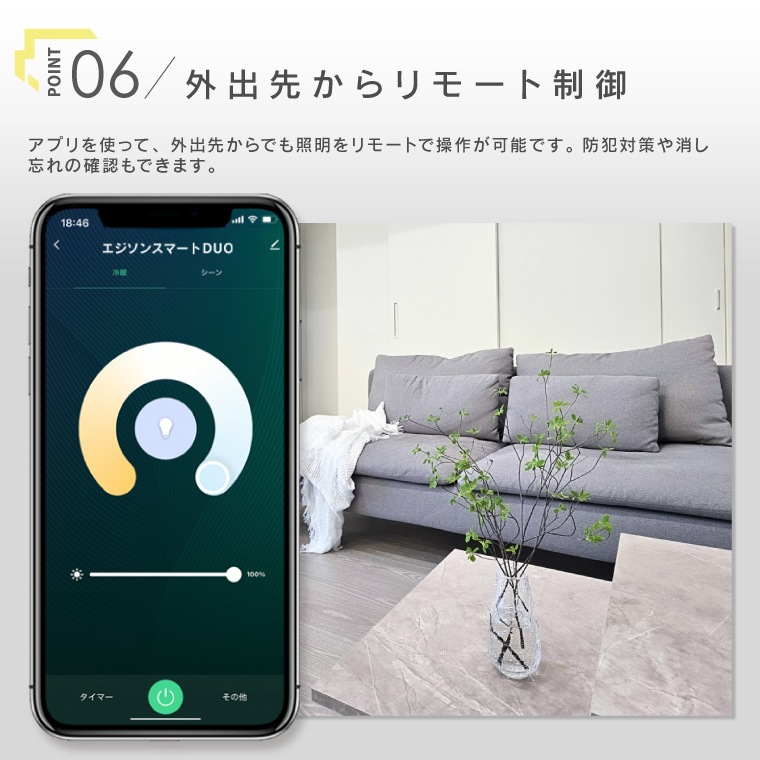 エジソンバルブLEDスマートDUO E26 GLOBE ハーフミラー ゴールド(Wi-Fi電球)