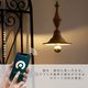 エジソンバルブLEDスマートDUO E17 ミニGLOBE ハーフミラー ゴールド(Wi-Fi電球)