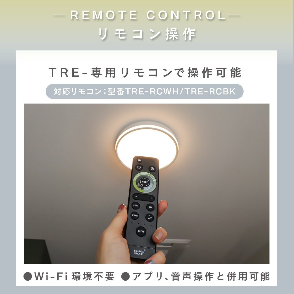 エジソンスマート TREOシーリングライト ブラック