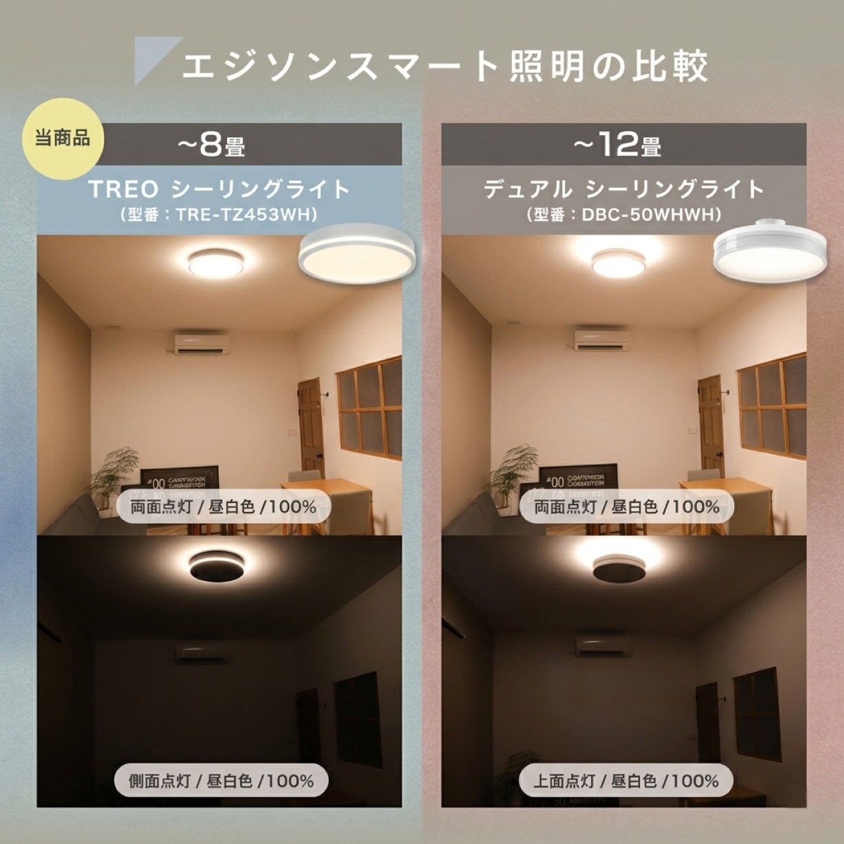 エジソンスマート TREOシーリングライト ブラック | エジソンスマート