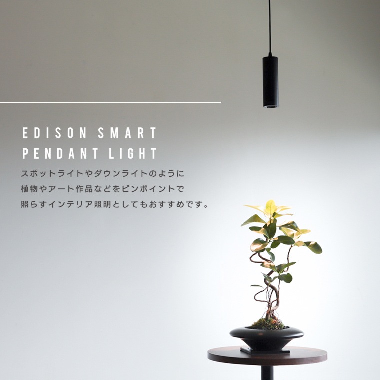 3個セット エジソンスマート ペンダントライト ダクトレール用 ブラック エジソンスマート ペンダントライト ブラック 引掛けシーリング
