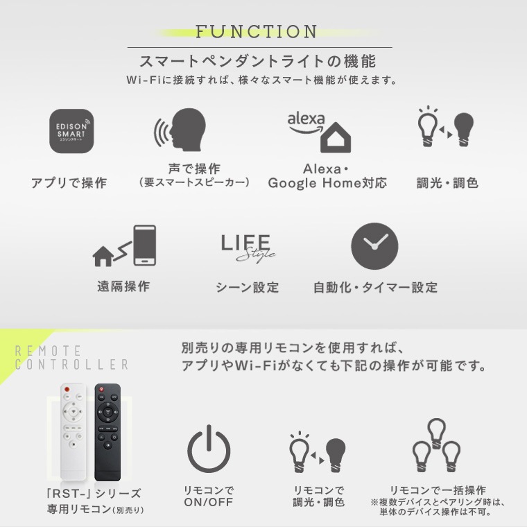 エジソンスマート ペンダントライト ダクトレール用 ブラック RST-PL01BK