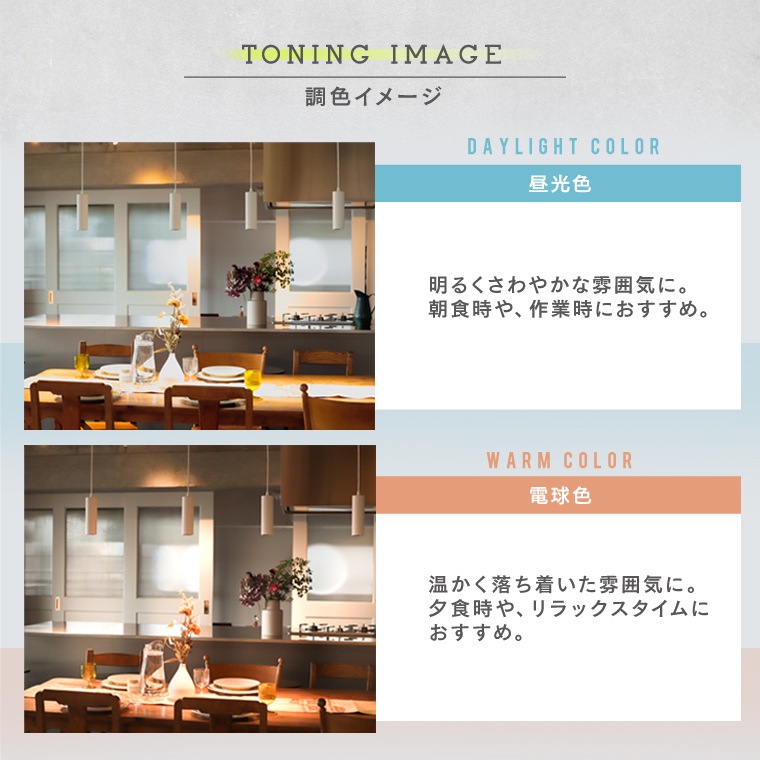 エジソンスマート ペンダントライト ダクトレール用 ブラック RST