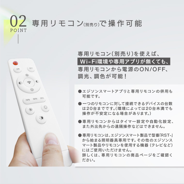 エジソンスマート ペンダントライト ダクトレール用 ブラック RST