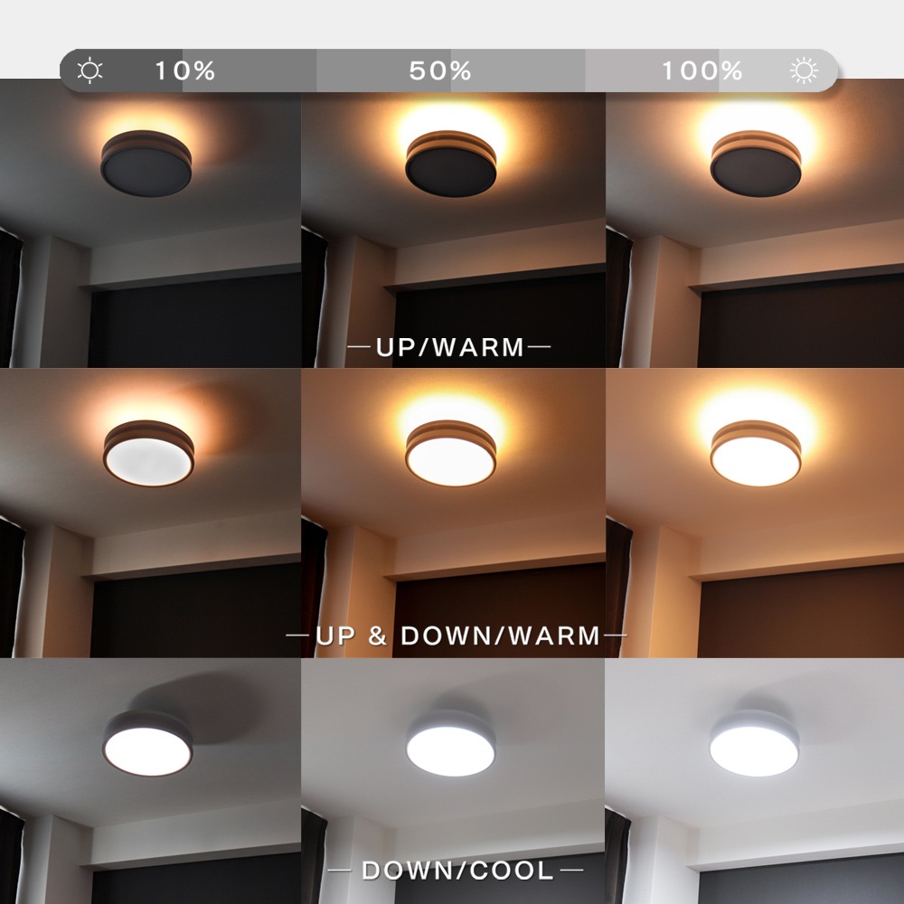 エジソンスマート デュアルシーリングライト ホワイト DBC-RF50WHWH