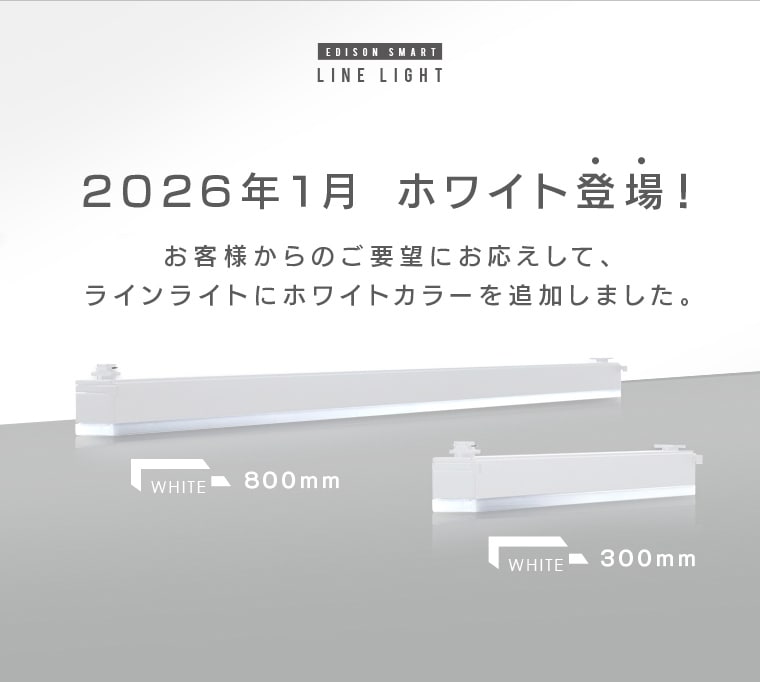 エジソンスマート ラインライト 300mm for ダクトレール ホワイト RST
