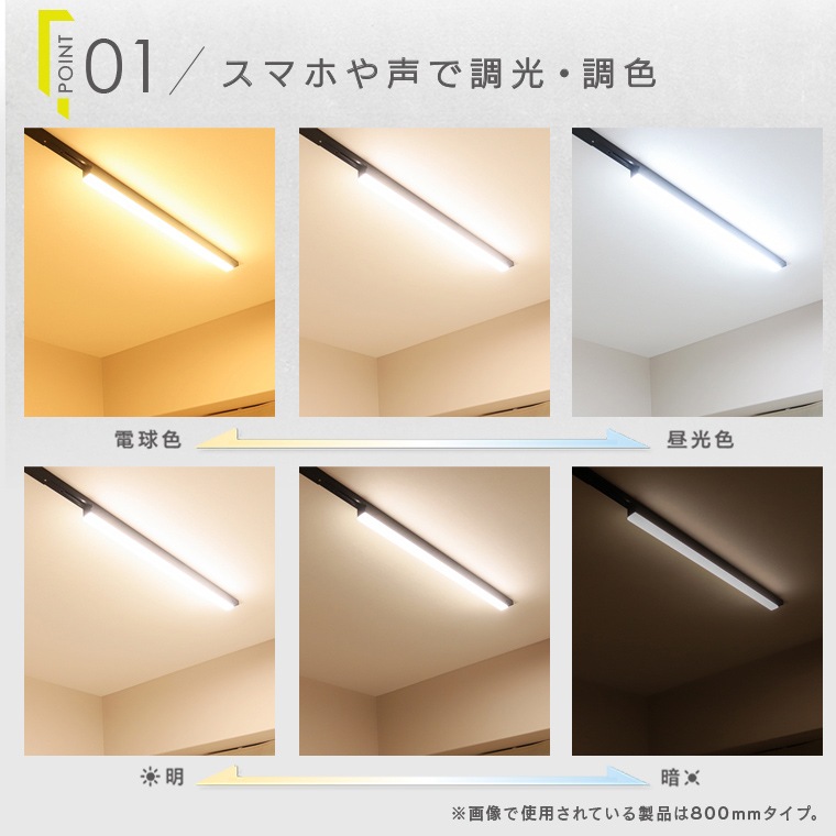 エジソンスマート ラインライト 300mm for ダクトレール ホワイト RST