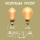 E26ノスタルジア ロングフロスト(調光器対応)_ND-E26BFNG