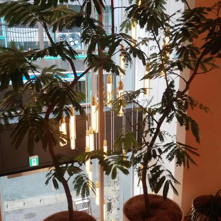 E26ノスタルジア BIGチューブゴールド(調光器対応)