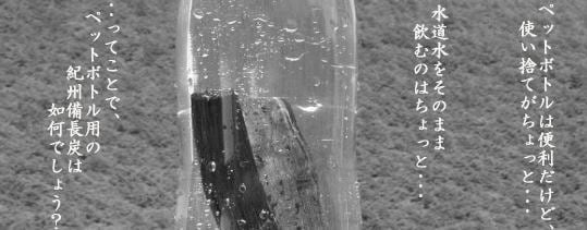 「杣人」ペットボトル・酒瓶用備長炭4本【定形外郵便】(送料込み)