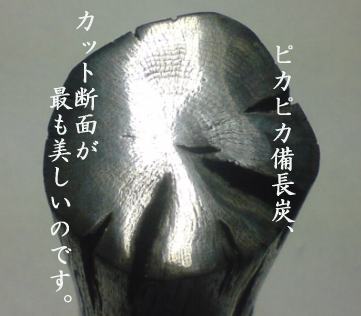 「杣人」ピカピカ備長炭20cm（送料込み）