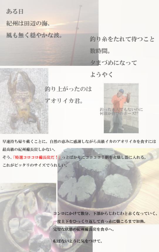 「杣人」コロコロ備長炭5kg（送料込み）
