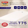 TOP LINE T75 ●マニフレックスマットレス Ｔ７５ ／クィーン