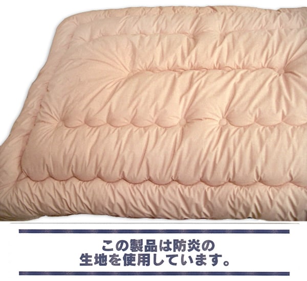 1_000000010787.jpg (600×550)