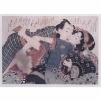 AV-265　DVD／枕絵の巨匠たち　浮世絵夢まくら | 春画 枕絵