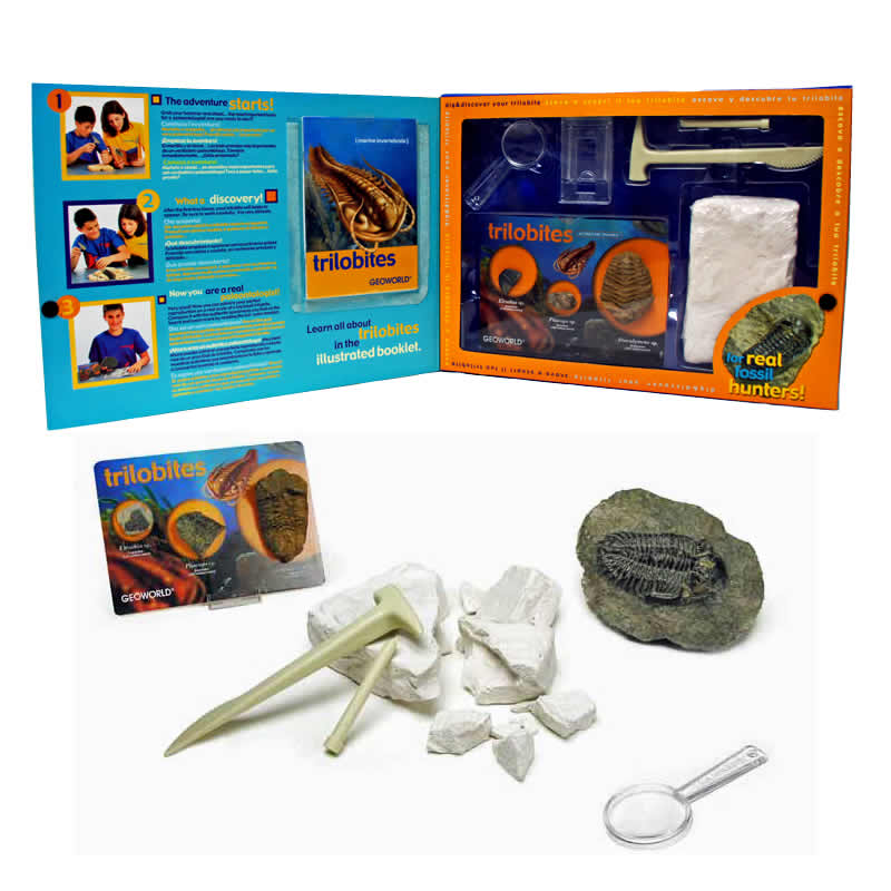TOY-114 化石発掘セット／三葉虫 | すべての商品 | えがおプラス