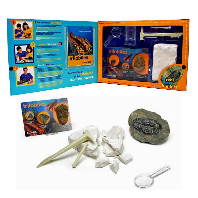 三葉虫化石セット TOY-114 化石発掘セット／三葉虫 | すべての商品 | えがおプラス