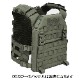WARRIOR ASSAULT SYSTEMS Recon Plate Carrier ���� �꡼���� �ץ졼�ȥ���ꥢ