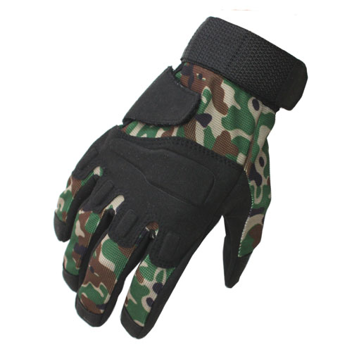 ʣͣšΦº ʥå륬ɥ 