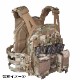 WARRIOR ASSAULT SYSTEMS DETACHABLE FRONT PANEL MK1 �ե���ȥѥͥ� Mk1 RPC��LPC�ץ졼�Ȥ������