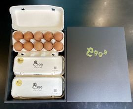 ������̵����eggg��ʿ�����������ޤ�����������