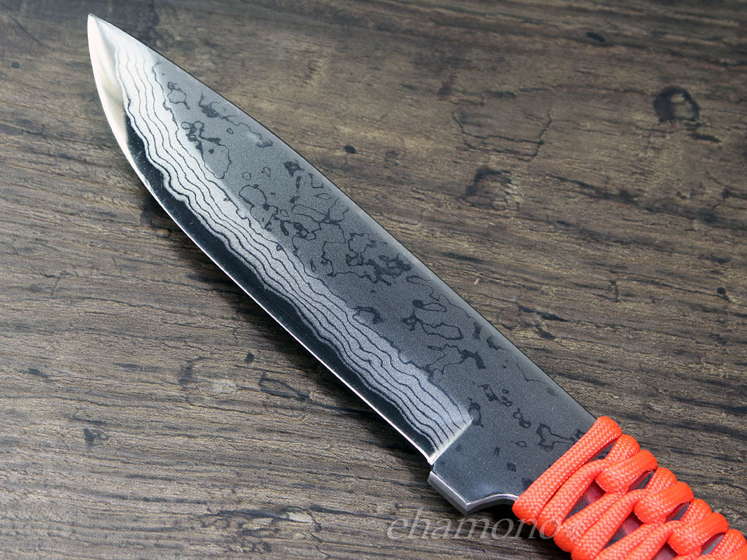 طڼ뱨SHU-KARASU Ļ2ޥ