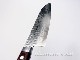 湧ԡֶ10桡ޥ17ܡDamascus17 Layers(Hammered)  Santoku